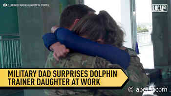 Military dad surprises dolphin trainer daughter at work