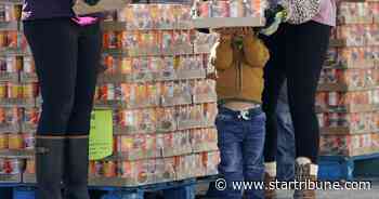 Minnesota organizations boost aid for Texans in aftermath of winter storm