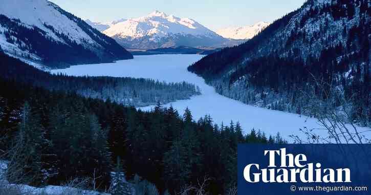 ‘Something bit my butt’: Alaska woman using outhouse attacked by bear