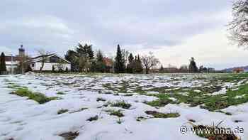 Grundstückskauf führt in Bebra zu Grundsatzdebatte - HNA.de