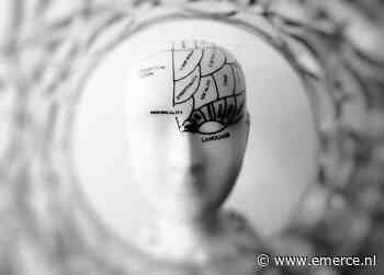 Infographic: Op weg naar een quantumbrein