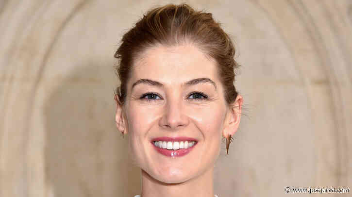 Rosamund Pike Movies That Are Streaming: Where to Watch 'Gone Girl' & More!