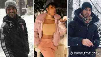 Stars Stuck In Snow -- Catchin' The Cold!