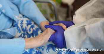 Care home residents to be allowed one named indoor visitor from March 8