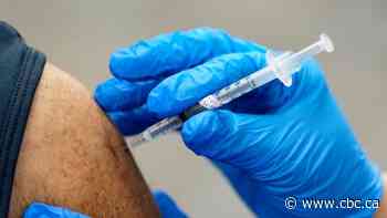 The hunt for herd immunity: Suddenly, the U.S. seems in better shape on COVID-19