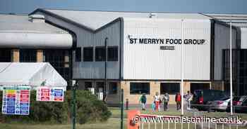 Man suffers 'life changing injuries' in horrific accident at Merthyr Tydfil food processing plant Kepak - Wales Online