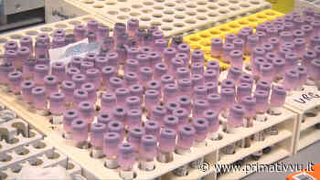 Covid, 40 positivi in Irpinia: 5 a Contrada, 4 a Solofra - Prima Tivvù