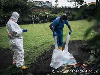 31 people dead from plague outbreak in DRC, say health officials