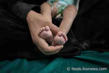 Yemen may see millions of children suffering from starvation, UN report warns