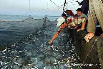 Il settore della pesca in continua sofferenza, i sindacati “Raddoppio giornate fermo preoccupa, assolutamente contrari” - BlogSicilia.it