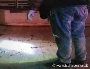 Omicidio di Formia, convalidato il fermo e domiciliari per il 16enne - LatinaCorriere