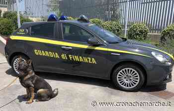 Due evasori totali a Fermo. Gdf sequestra ville e conti correnti - CronacheMarche