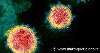 Covid, il Consorzio per sequenziare le varianti fermo per la crisi di governo - Il Fatto Quotidiano