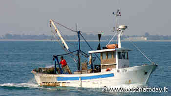 Aumentano le giornate di fermo pesca a strascico. La Regione: "Rivedere la decisione" - CesenaToday