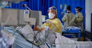 16-year-old with no known underlying health conditions dies from Covid