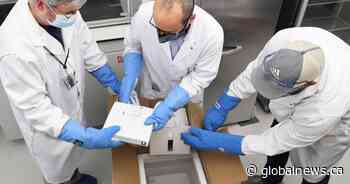 Coronavirus: Nova Scotia reports 4 new cases Saturday - Globalnews.ca