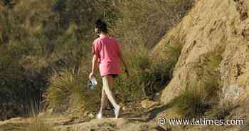 Essential Arts: Immersed in a Griffith Park 'Soundwalk' - Los Angeles Times