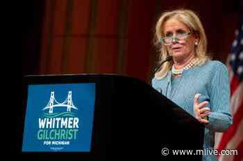 U.S. Rep. Debbie Dingell announces $120,000 in grants toward arts and culture - MLive.com