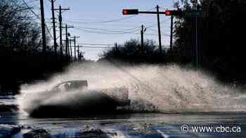 Canadians in Texas say they're coping better than most in winter storm