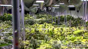 Republican leader opposes medical marijuana, puts legislation at risk - WDJT
