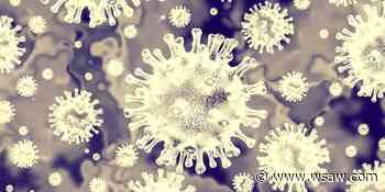 DHS reports decrease in new coronavirus cases for first time after four-day rise - WSAW