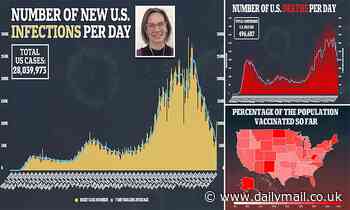 Another epidemiologist says it's possible the US is approaching COVID herd immunity