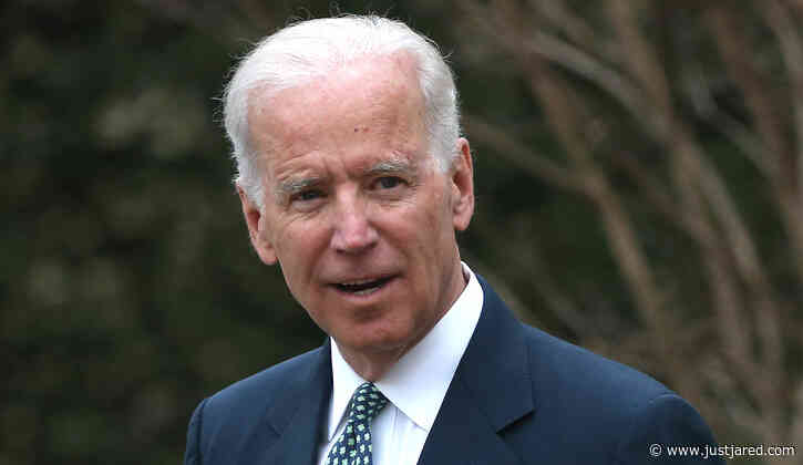 Joe Biden's Dog Was Attacked in Bizarre News Segment
