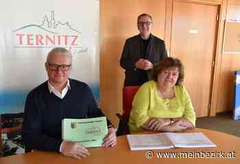 Ternitzer Budget leidet unter Covid-19: "Einnahmen werden weiter schrumpfen" - meinbezirk.at