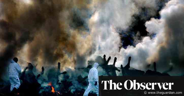 Foot and mouth 20 years on: what an animal virus epidemic taught UK science