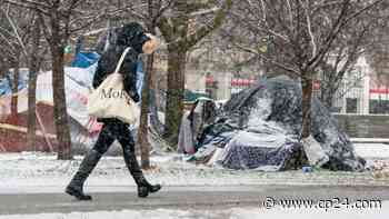 Toronto seeks injunction to stop man from building tiny shelters for the homeless - CP24 Toronto's Breaking News