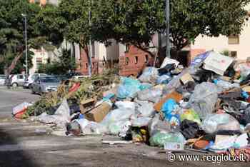 Cimitero di Modena, Nucera: Dopo la pulizia del 14 febbraio, i sacchi sono ancora dove li abbiamo lasciati - Reggio TV
