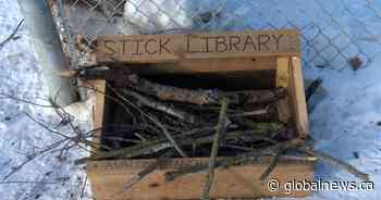 Saskatoon father and son duo create stick libraries for local dog parks
