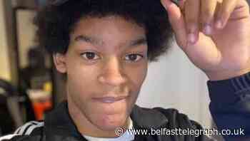 Car driven at boy before he was chased by four people and stabbed to death