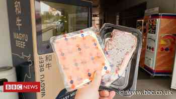 Singapore vending machines now dispense salmon, crab and even cacti