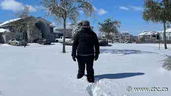 New Brunswicker living in Texas says winter blast has caused 'true chaos'