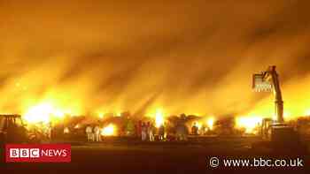 Foot-and-mouth outbreak's parallels with Covid pandemic