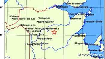 Small earthquake recorded in N.B. Sunday morning