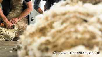 Wool prices the best for almost a year