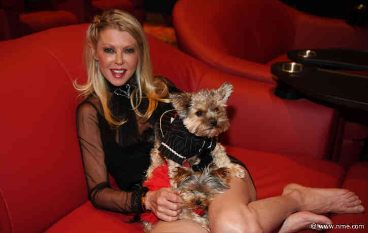Tara Reid says the cast of ‘American Pie’ have been talking about doing a new sequel