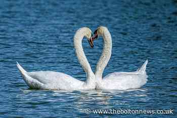 Super photographs showcasing the beauty in and around Bolton - The Bolton News