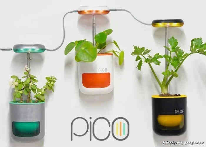 Pico indoor garden provides everything your plants need