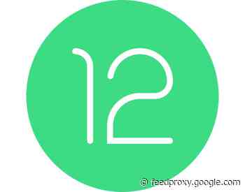 Google releases Android 12 Developer Preview