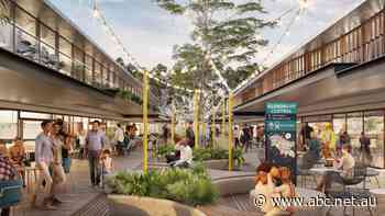 Can a 20-year redevelopment vision tear down the 'flannelette curtain'?