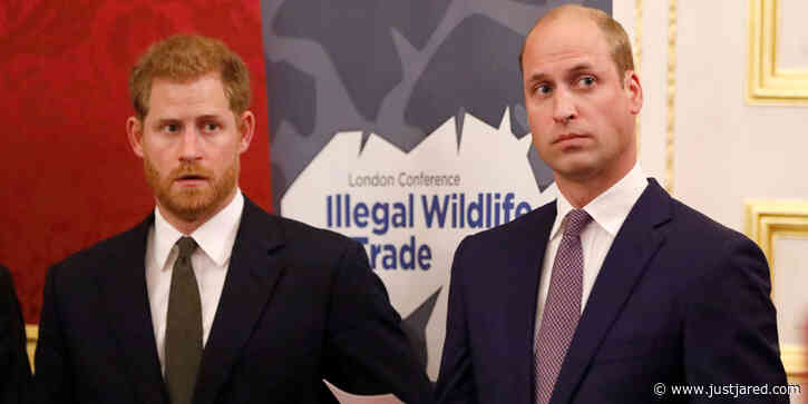 Prince William Is Reportedly Upset About Prince Harry's Response To Queen Elizabeth's Statement On Royal Departure