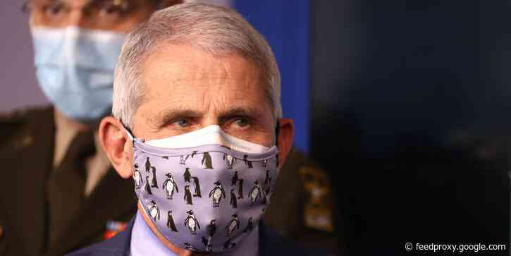 Fauci says it's 'possible' that Americans will still need to wear masks in 2022