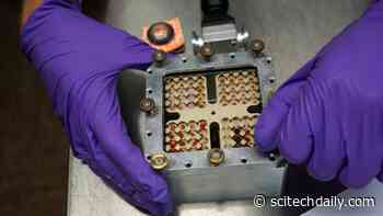 Study Shows Life From Earth Could Temporarily Survive on Mars