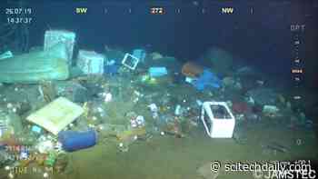 A Sea of Garbage: Ocean Floor Landfills