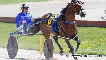 Les pronostics hippiques de Gérard Mot pour le Prix d'Arras à Vincennes (21/02) - France Bleu