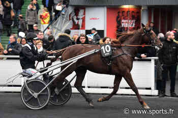 Prix d’Arras, Helena di Quattro sur l’hippodrome de Paris Vincennes - Sports.fr