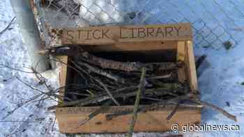 Saskatoon father and son duo make stick library for dog parks in the city | Watch News Videos Online - Globalnews.ca